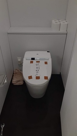 ֍